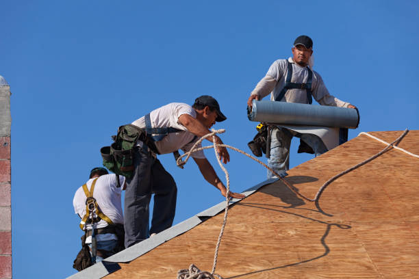 Best Metal Roofing Contractor  in Chevy Chase, MD