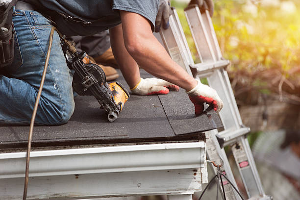 Roof Gutter Cleaning in Chevy Chase, MD